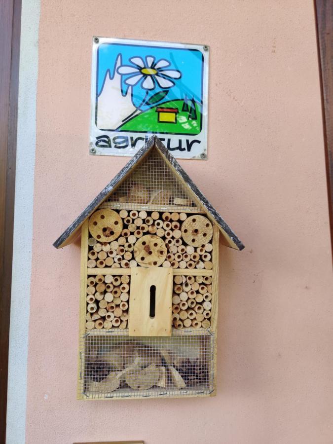 Agritur Leita Villa Туено Екстериор снимка
